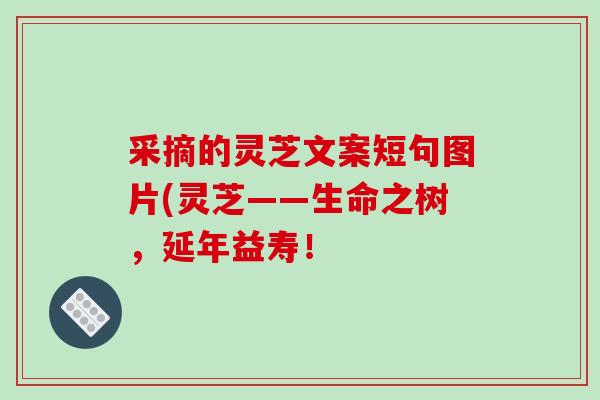 采摘的灵芝文案短句图片(灵芝——生命之树,延年益寿!-第1张图片-破壁灵芝孢子粉研究指南 采摘的灵芝文案短句图片(灵芝——生命之树,延年益寿!-第1张图片-破壁灵芝孢子粉研究指南