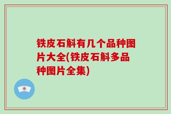 铁皮石斛有几个品种图片大全(铁皮石斛多品种图片全集)-第1张图片-破壁灵芝孢子粉研究指南