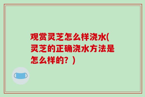 观赏灵芝怎么样浇水(灵芝的正确浇水方法是怎么样的?)-第1张图片-破壁灵芝孢子粉研究指南 观赏灵芝怎么样浇水(灵芝的正确浇水方法是怎么样的?)-第1张图片-破壁灵芝孢子粉研究指南