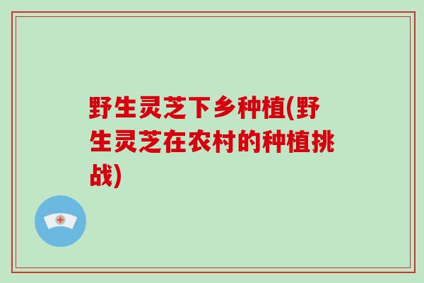 野生灵芝下乡种植(野生灵芝在农村的种植挑战)-第1张图片-破壁灵芝孢子粉研究指南 野生灵芝下乡种植(野生灵芝在农村的种植挑战)-第1张图片-破壁灵芝孢子粉研究指南