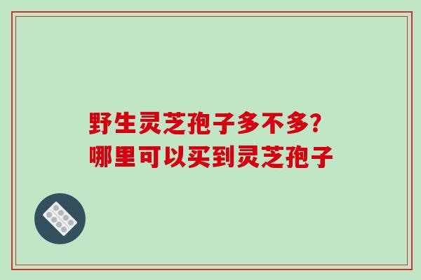 野生灵芝孢子多不多?哪里可以买到灵芝孢子-第1张图片-破壁灵芝孢子粉研究指南 野生灵芝孢子多不多?哪里可以买到灵芝孢子-第1张图片-破壁灵芝孢子粉研究指南