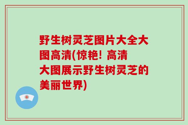 野生树灵芝图片大全大图高清(惊艳! 高清大图展示野生树灵芝的美丽世界)-第1张图片-破壁灵芝孢子粉研究指南 野生树灵芝图片大全大图高清(惊艳! 高清大图展示野生树灵芝的美丽世界)-第1张图片-破壁灵芝孢子粉研究指南