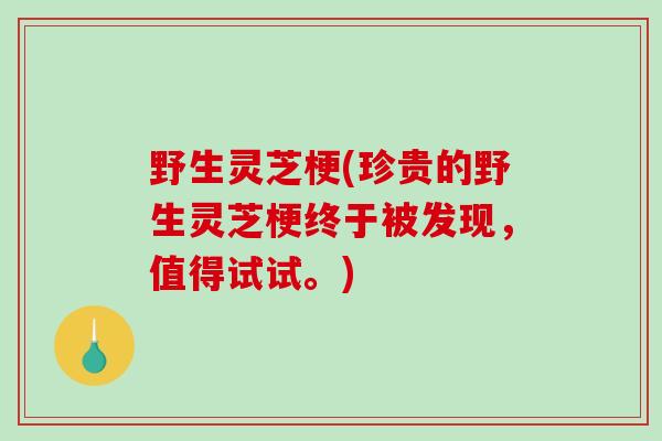 野生灵芝梗(珍贵的野生灵芝梗终于被发现,值得试试。)-第1张图片-破壁灵芝孢子粉研究指南 野生灵芝梗(珍贵的野生灵芝梗终于被发现,值得试试。)-第1张图片-破壁灵芝孢子粉研究指南