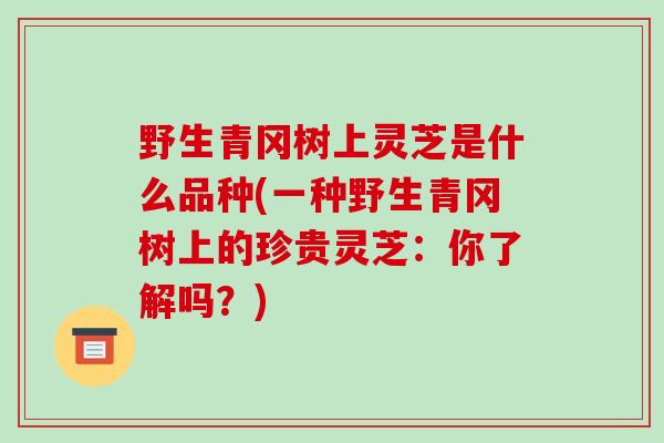 野生青冈树上灵芝是什么品种(一种野生青冈树上的珍贵灵芝：你了解吗？)-第1张图片-破壁灵芝孢子粉研究指南