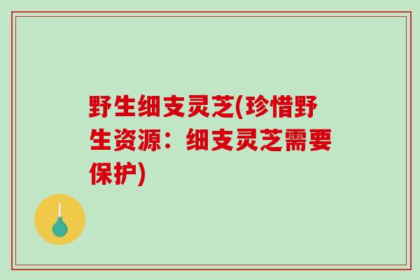 野生细支灵芝(珍惜野生资源：细支灵芝需要保护)-第1张图片-破壁灵芝孢子粉研究指南