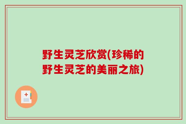 野生灵芝欣赏(珍稀的野生灵芝的美丽之旅)-第1张图片-破壁灵芝孢子粉研究指南 野生灵芝欣赏(珍稀的野生灵芝的美丽之旅)-第1张图片-破壁灵芝孢子粉研究指南