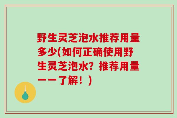 野生灵芝泡水推荐用量多少(如何正确使用野生灵芝泡水？推荐用量一一了解！)-第1张图片-破壁灵芝孢子粉研究指南