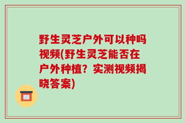 野生灵芝户外可以种吗视频(野生灵芝能否在户外种植？实测视频揭晓答案)-第1张图片-破壁灵芝孢子粉研究指南