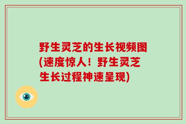 野生灵芝的生长视频图(速度惊人！野生灵芝生长过程神速呈现)-第1张图片-破壁灵芝孢子粉研究指南