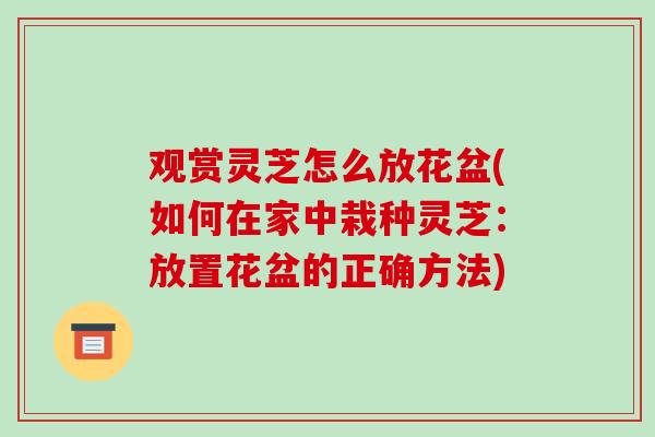 观赏灵芝怎么放花盆(如何在家中栽种灵芝:放置花盆的正确方法)-第1张图片-破壁灵芝孢子粉研究指南 观赏灵芝怎么放花盆(如何在家中栽种灵芝:放置花盆的正确方法)-第1张图片-破壁灵芝孢子粉研究指南