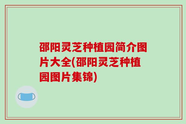 邵阳灵芝种植园简介图片大全(邵阳灵芝种植园图片集锦)-第1张图片-破壁灵芝孢子粉研究指南 邵阳灵芝种植园简介图片大全(邵阳灵芝种植园图片集锦)-第1张图片-破壁灵芝孢子粉研究指南