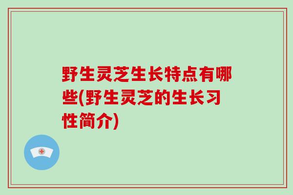 野生灵芝生长特点有哪些(野生灵芝的生长习性简介)-第1张图片-破壁灵芝孢子粉研究指南 野生灵芝生长特点有哪些(野生灵芝的生长习性简介)-第1张图片-破壁灵芝孢子粉研究指南