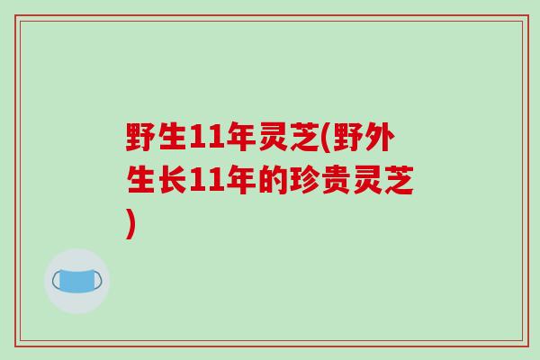 野生11年灵芝(野外生长11年的珍贵灵芝)-第1张图片-破壁灵芝孢子粉研究指南