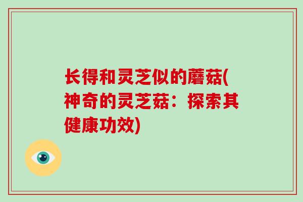 长得和灵芝似的蘑菇(神奇的灵芝菇：探索其健康功效)-第1张图片-破壁灵芝孢子粉研究指南