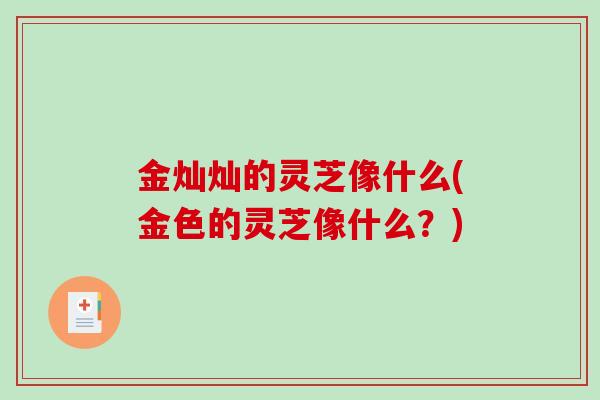 金灿灿的灵芝像什么(金色的灵芝像什么?)-第1张图片-破壁灵芝孢子粉研究指南 金灿灿的灵芝像什么(金色的灵芝像什么?)-第1张图片-破壁灵芝孢子粉研究指南