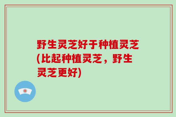 野生灵芝好于种植灵芝(比起种植灵芝，野生灵芝更好)-第1张图片-破壁灵芝孢子粉研究指南