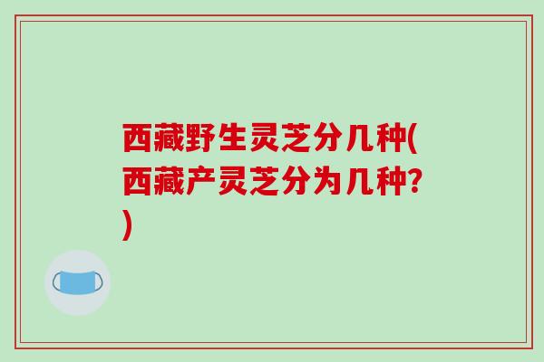 西藏野生灵芝分几种(西藏产灵芝分为几种?)-第1张图片-破壁灵芝孢子粉研究指南 西藏野生灵芝分几种(西藏产灵芝分为几种?)-第1张图片-破壁灵芝孢子粉研究指南