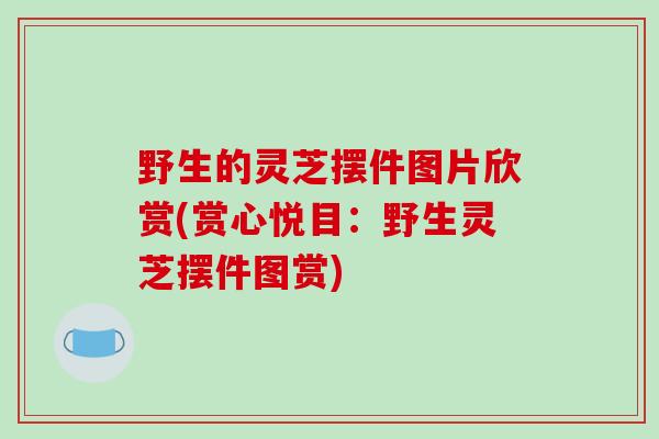 野生的灵芝摆件图片欣赏(赏心悦目：野生灵芝摆件图赏)-第1张图片-破壁灵芝孢子粉研究指南