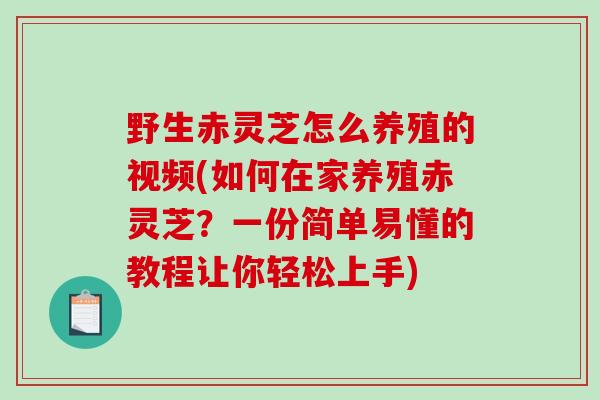 野生赤灵芝怎么养殖的视频(如何在家养殖赤灵芝？一份简单易懂的教程让你轻松上手)-第1张图片-破壁灵芝孢子粉研究指南