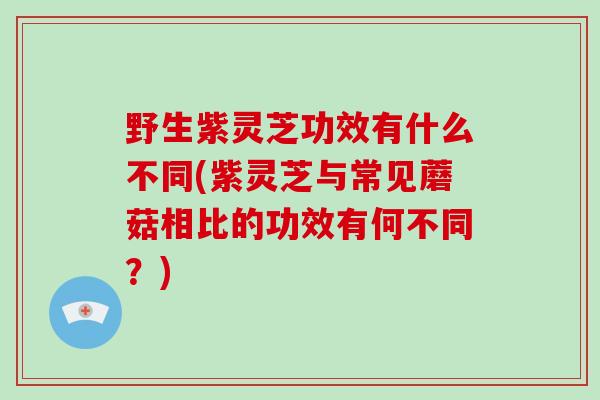 野生紫灵芝功效有什么不同(紫灵芝与常见蘑菇相比的功效有何不同?)-第1张图片-破壁灵芝孢子粉研究指南 野生紫灵芝功效有什么不同(紫灵芝与常见蘑菇相比的功效有何不同?)-第1张图片-破壁灵芝孢子粉研究指南