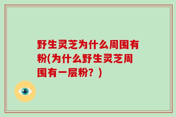 野生灵芝为什么周围有粉(为什么野生灵芝周围有一层粉？)-第1张图片-破壁灵芝孢子粉研究指南