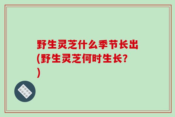 野生灵芝什么季节长出(野生灵芝何时生长？)-第1张图片-破壁灵芝孢子粉研究指南