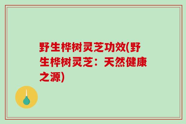 野生桦树灵芝功效(野生桦树灵芝:天然健康之源)-第1张图片-破壁灵芝孢子粉研究指南 野生桦树灵芝功效(野生桦树灵芝:天然健康之源)-第1张图片-破壁灵芝孢子粉研究指南