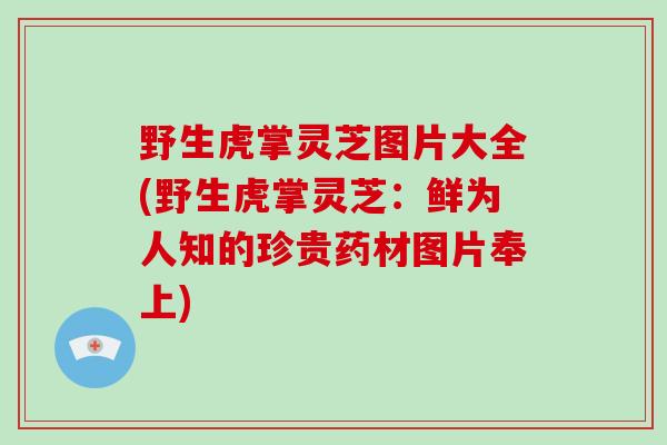 野生虎掌灵芝图片大全(野生虎掌灵芝:鲜为人知的珍贵药材图片奉上)-第1张图片-破壁灵芝孢子粉研究指南 野生虎掌灵芝图片大全(野生虎掌灵芝:鲜为人知的珍贵药材图片奉上)-第1张图片-破壁灵芝孢子粉研究指南