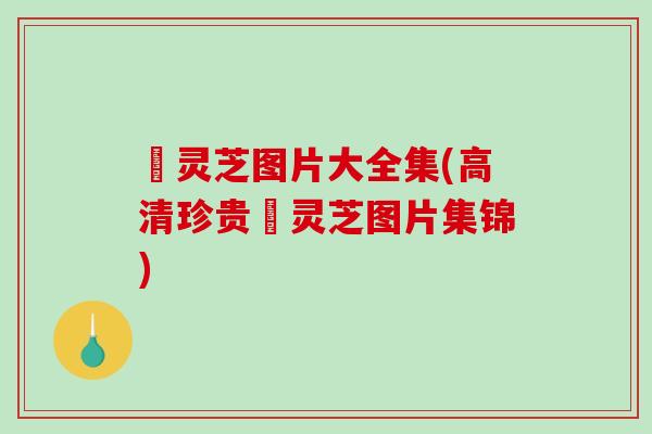艼灵芝图片大全集(高清珍贵艼灵芝图片集锦)-第1张图片-破壁灵芝孢子粉研究指南 艼灵芝图片大全集(高清珍贵艼灵芝图片集锦)-第1张图片-破壁灵芝孢子粉研究指南