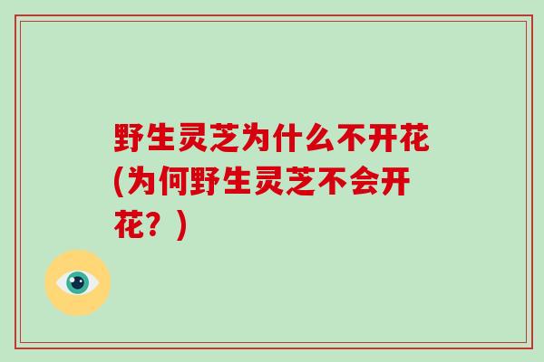 野生灵芝为什么不开花(为何野生灵芝不会开花?)-第1张图片-破壁灵芝孢子粉研究指南 野生灵芝为什么不开花(为何野生灵芝不会开花?)-第1张图片-破壁灵芝孢子粉研究指南