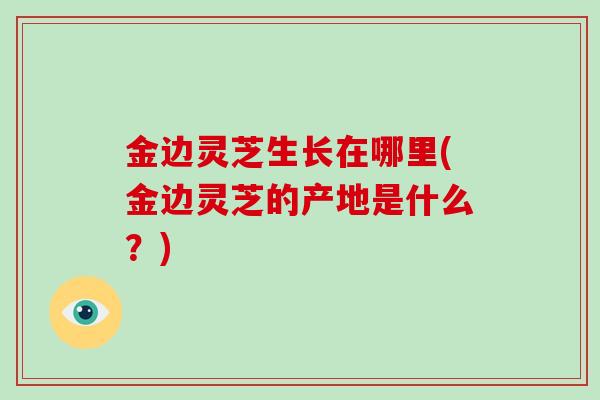 金边灵芝生长在哪里(金边灵芝的产地是什么?)-第1张图片-破壁灵芝孢子粉研究指南 金边灵芝生长在哪里(金边灵芝的产地是什么?)-第1张图片-破壁灵芝孢子粉研究指南