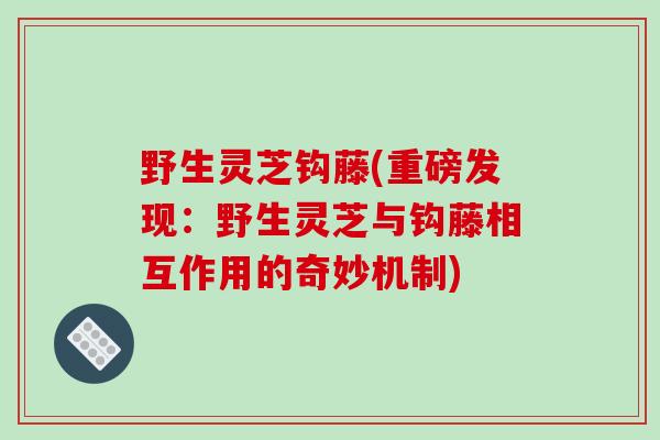 野生灵芝钩藤(重磅发现:野生灵芝与钩藤相互作用的奇妙机制)-第1张图片-破壁灵芝孢子粉研究指南 野生灵芝钩藤(重磅发现:野生灵芝与钩藤相互作用的奇妙机制)-第1张图片-破壁灵芝孢子粉研究指南