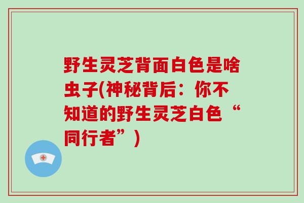 野生灵芝背面白色是啥虫子(神秘背后：你不知道的野生灵芝白色“同行者”)-第1张图片-破壁灵芝孢子粉研究指南