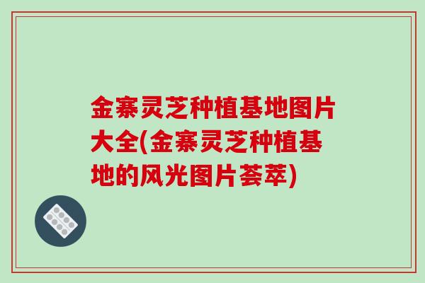 金寨灵芝种植基地图片大全(金寨灵芝种植基地的风光图片荟萃)-第1张图片-破壁灵芝孢子粉研究指南 金寨灵芝种植基地图片大全(金寨灵芝种植基地的风光图片荟萃)-第1张图片-破壁灵芝孢子粉研究指南