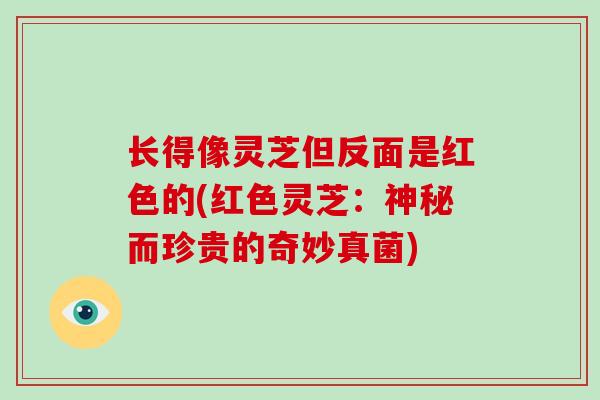 长得像灵芝但反面是红色的(红色灵芝:神秘而珍贵的奇妙真菌)-第1张图片-破壁灵芝孢子粉研究指南 长得像灵芝但反面是红色的(红色灵芝:神秘而珍贵的奇妙真菌)-第1张图片-破壁灵芝孢子粉研究指南
