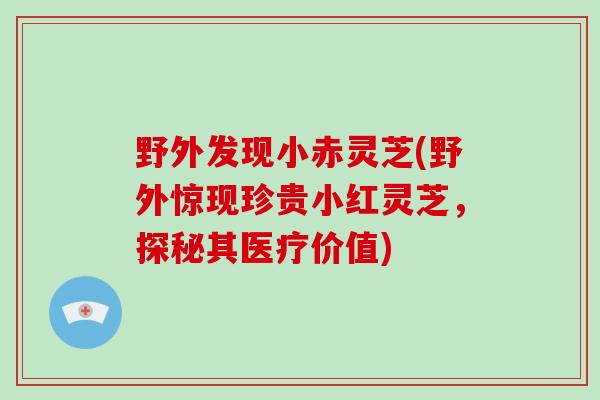 野外发现小赤灵芝(野外惊现珍贵小红灵芝,探秘其医疗价值)-第1张图片-破壁灵芝孢子粉研究指南 野外发现小赤灵芝(野外惊现珍贵小红灵芝,探秘其医疗价值)-第1张图片-破壁灵芝孢子粉研究指南