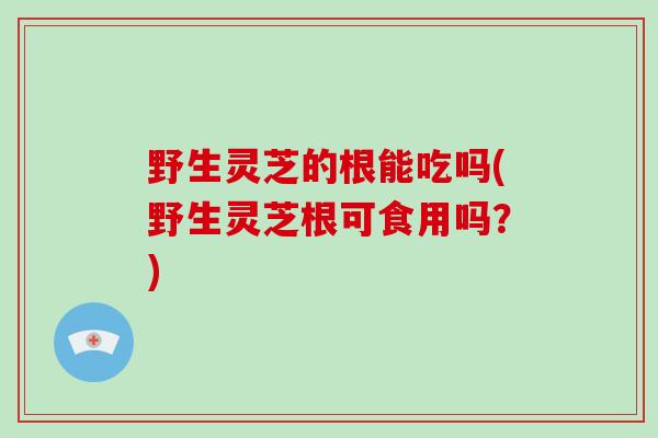 野生灵芝的根能吃吗(野生灵芝根可食用吗?)-第1张图片-破壁灵芝孢子粉研究指南 野生灵芝的根能吃吗(野生灵芝根可食用吗?)-第1张图片-破壁灵芝孢子粉研究指南