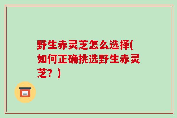 野生赤灵芝怎么选择(如何正确挑选野生赤灵芝?)-第1张图片-破壁灵芝孢子粉研究指南 野生赤灵芝怎么选择(如何正确挑选野生赤灵芝?)-第1张图片-破壁灵芝孢子粉研究指南