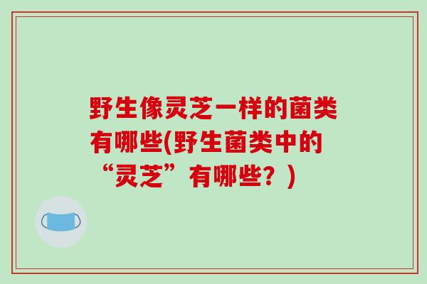 野生像灵芝一样的菌类有哪些(野生菌类中的“灵芝”有哪些?)-第1张图片-破壁灵芝孢子粉研究指南 野生像灵芝一样的菌类有哪些(野生菌类中的“灵芝”有哪些?)-第1张图片-破壁灵芝孢子粉研究指南
