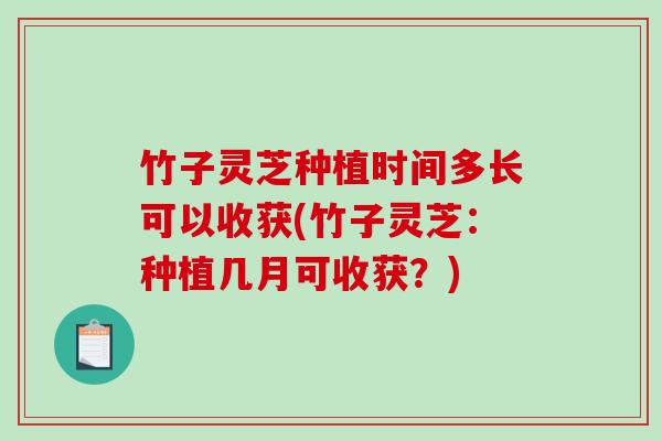竹子灵芝种植时间多长可以收获(竹子灵芝:种植几月可收获?)-第1张图片-破壁灵芝孢子粉研究指南 竹子灵芝种植时间多长可以收获(竹子灵芝:种植几月可收获?)-第1张图片-破壁灵芝孢子粉研究指南