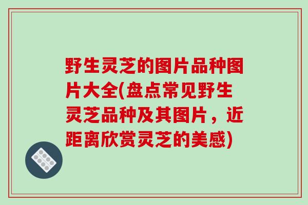 野生灵芝的图片品种图片大全(盘点常见野生灵芝品种及其图片,近距离欣赏灵芝的美感)-第1张图片-破壁灵芝孢子粉研究指南 野生灵芝的图片品种图片大全(盘点常见野生灵芝品种及其图片,近距离欣赏灵芝的美感)-第1张图片-破壁灵芝孢子粉研究指南