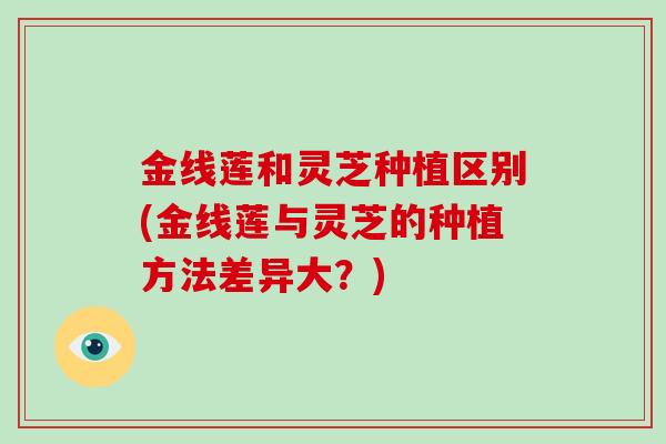 金线莲和灵芝种植区别(金线莲与灵芝的种植方法差异大？)-第1张图片-破壁灵芝孢子粉研究指南