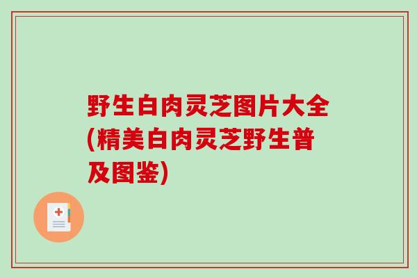 野生白肉灵芝图片大全(精美白肉灵芝野生普及图鉴)-第1张图片-破壁灵芝孢子粉研究指南 野生白肉灵芝图片大全(精美白肉灵芝野生普及图鉴)-第1张图片-破壁灵芝孢子粉研究指南