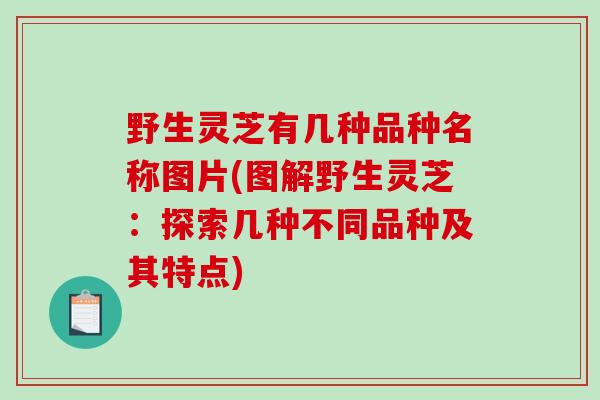 野生灵芝有几种品种名称图片(图解野生灵芝:探索几种不同品种及其特点)-第1张图片-破壁灵芝孢子粉研究指南 野生灵芝有几种品种名称图片(图解野生灵芝:探索几种不同品种及其特点)-第1张图片-破壁灵芝孢子粉研究指南
