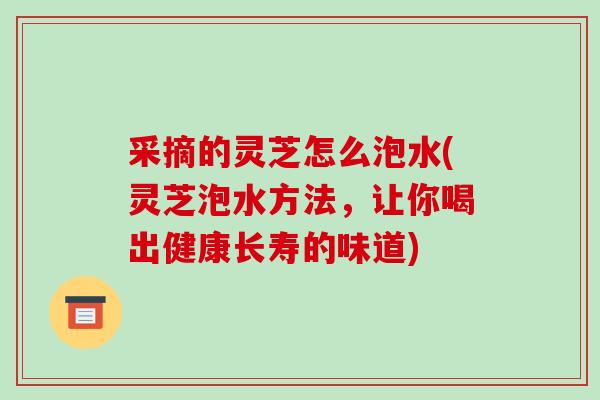 采摘的灵芝怎么泡水(灵芝泡水方法,让你喝出健康长寿的味道)-第1张图片-破壁灵芝孢子粉研究指南 采摘的灵芝怎么泡水(灵芝泡水方法,让你喝出健康长寿的味道)-第1张图片-破壁灵芝孢子粉研究指南