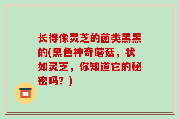 长得像灵芝的菌类黑黑的(黑色神奇蘑菇,状如灵芝,你知道它的秘密吗?)-第1张图片-破壁灵芝孢子粉研究指南 长得像灵芝的菌类黑黑的(黑色神奇蘑菇,状如灵芝,你知道它的秘密吗?)-第1张图片-破壁灵芝孢子粉研究指南