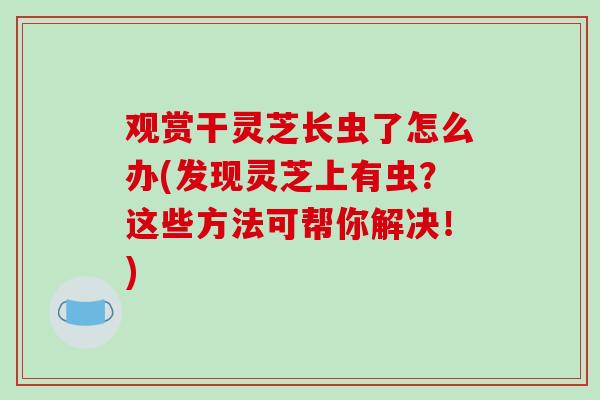 观赏干灵芝长虫了怎么办(发现灵芝上有虫?这些方法可帮你解决!)-第1张图片-破壁灵芝孢子粉研究指南 观赏干灵芝长虫了怎么办(发现灵芝上有虫?这些方法可帮你解决!)-第1张图片-破壁灵芝孢子粉研究指南