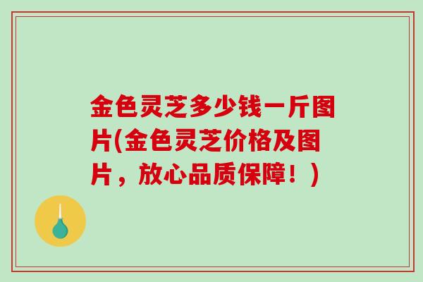 金色灵芝多少钱一斤图片(金色灵芝价格及图片,放心品质保障!)-第1张图片-破壁灵芝孢子粉研究指南 金色灵芝多少钱一斤图片(金色灵芝价格及图片,放心品质保障!)-第1张图片-破壁灵芝孢子粉研究指南