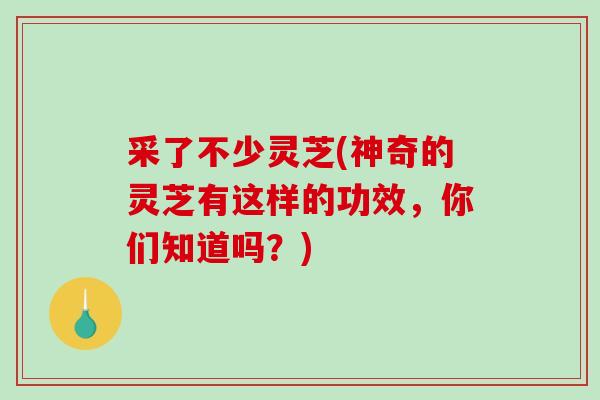 采了不少灵芝(神奇的灵芝有这样的功效,你们知道吗?)-第1张图片-破壁灵芝孢子粉研究指南 采了不少灵芝(神奇的灵芝有这样的功效,你们知道吗?)-第1张图片-破壁灵芝孢子粉研究指南