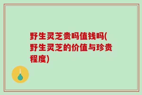野生灵芝贵吗值钱吗(野生灵芝的价值与珍贵程度)-第1张图片-破壁灵芝孢子粉研究指南 野生灵芝贵吗值钱吗(野生灵芝的价值与珍贵程度)-第1张图片-破壁灵芝孢子粉研究指南
